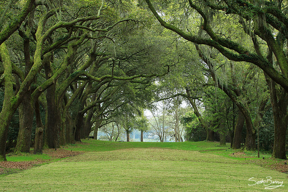 Charles Towne Landing