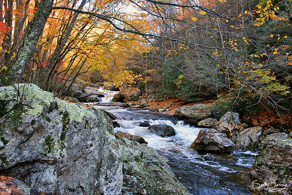Autumn on the Cullasaja River