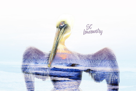 SC Lowcountry - Double Exposure