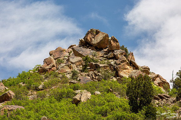 Garden of the Gods