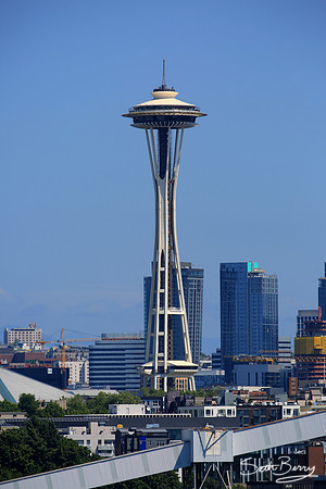 The Space Needle