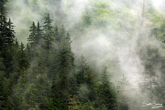 Tongass National Forest