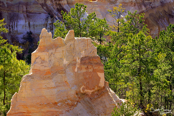 Providence Canyon, Georgia 6