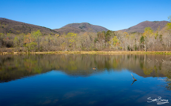 Blue Wall Preserve