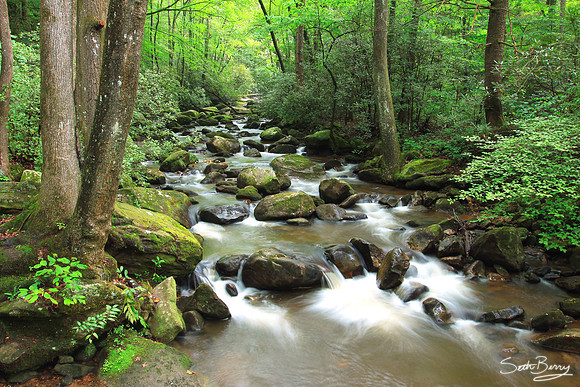 Jones Gap State Park