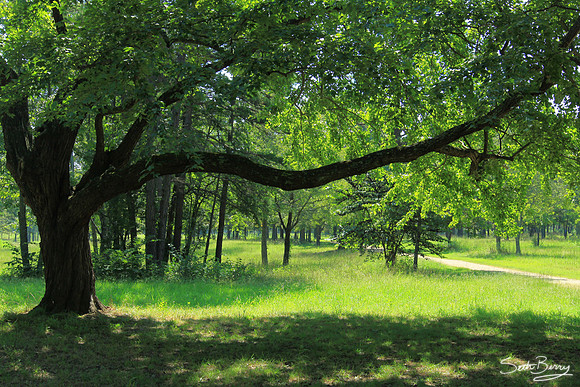 Cowpens National Battlefield