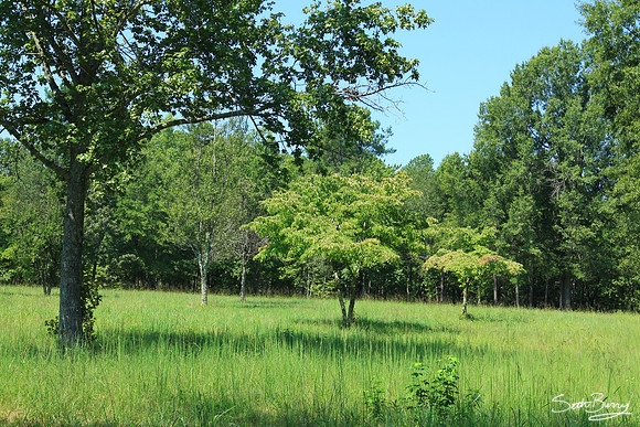 Cowpens National Battlefield