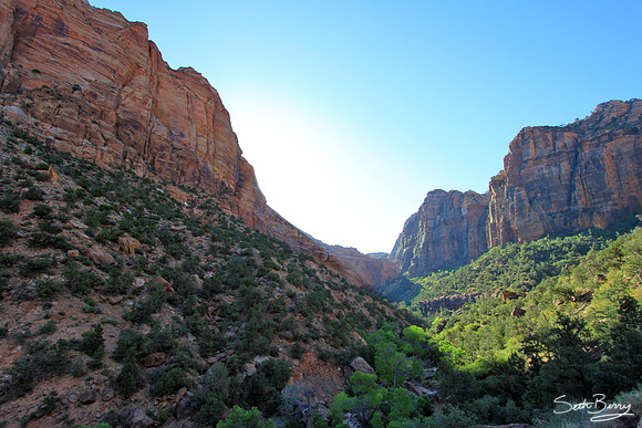 Zion Sunrise