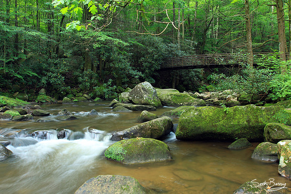 Middle Saluda River at Jones Gap