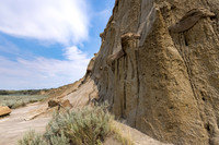 Theodore Roosevelt National Park