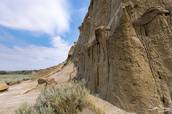 Theodore Roosevelt National Park