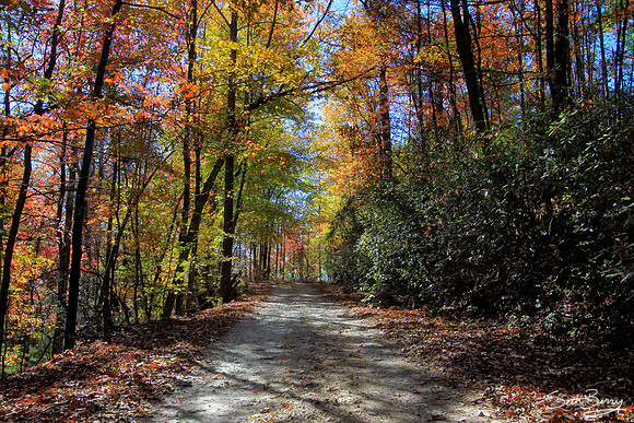 Autumn Dirt Road