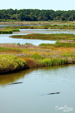 Swimming Inlet