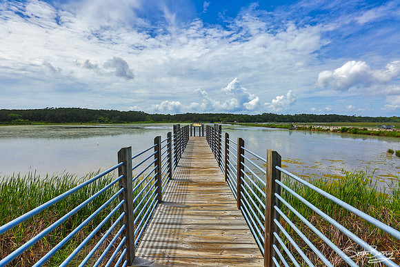 Huntington Beach State Park wetlands