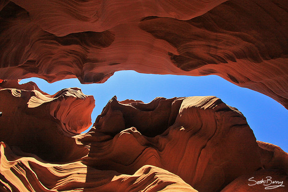 Looking Up 1