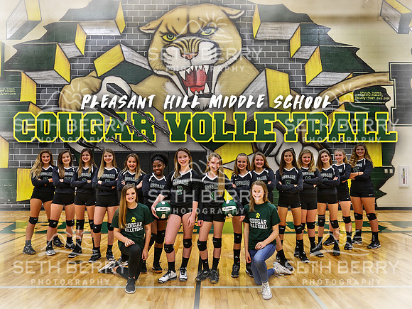 2018 Cougar Volleyball Poster
