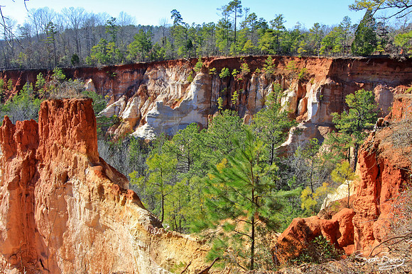 Providence Canyon, Georgia 12