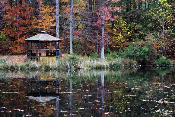 CIU Pond