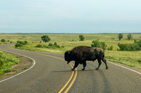Theodore Roosevelt National Park
