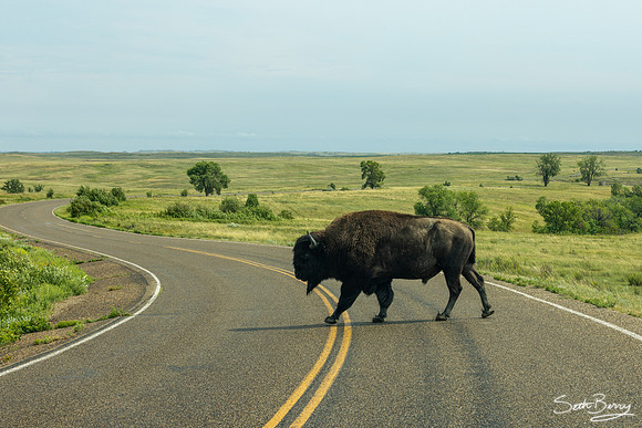Theodore Roosevelt National Park