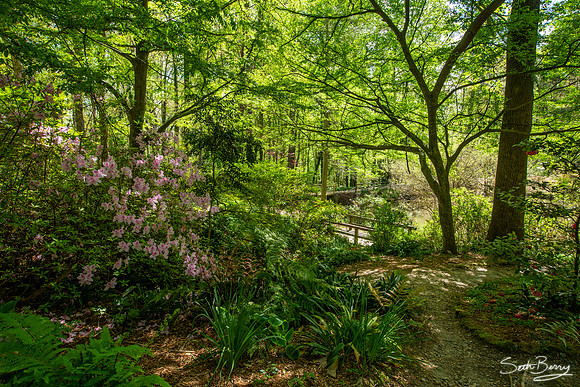 SC Botanical Gardens