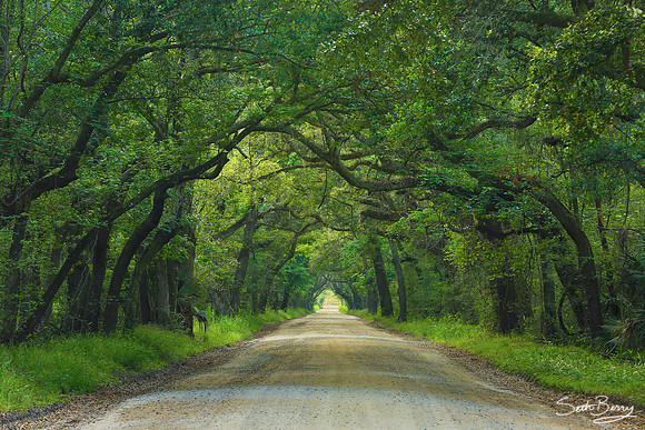 Botany Bay Plantation