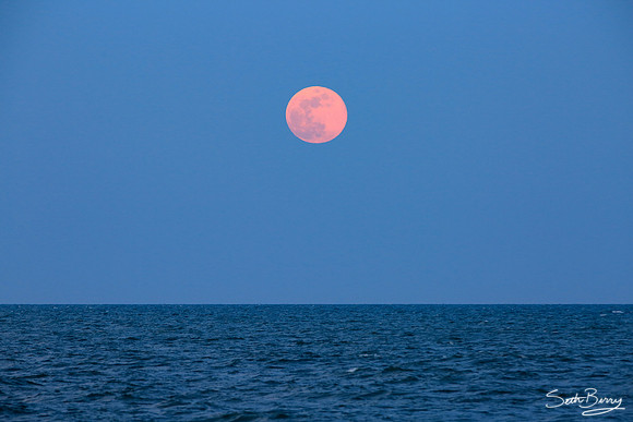 Red Moon Rising Over Edisto