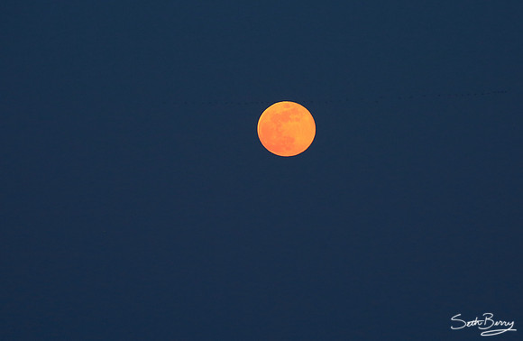 Red Moon Over Edisto
