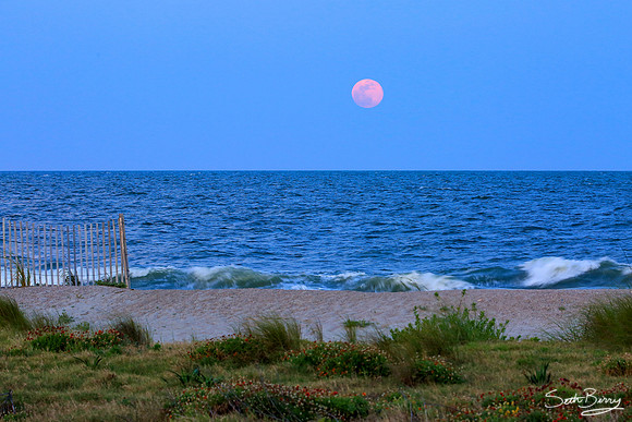 Red Moon Rising Over Edisto