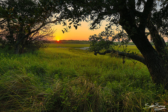 Edisto Marsh Sunset