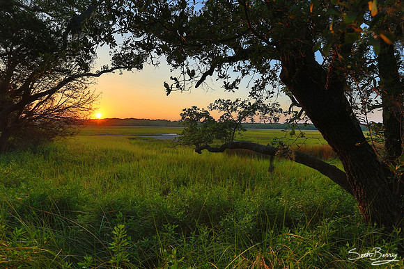 Edisto Marsh Sunset
