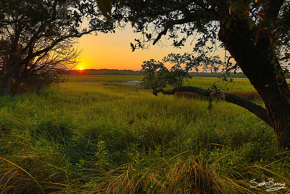 Edisto Marsh Sunset