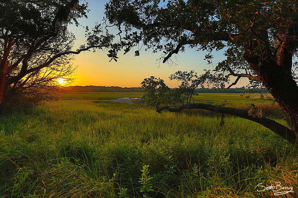 Edisto Marsh Sunset