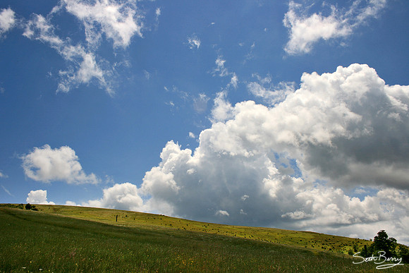 Max Patch