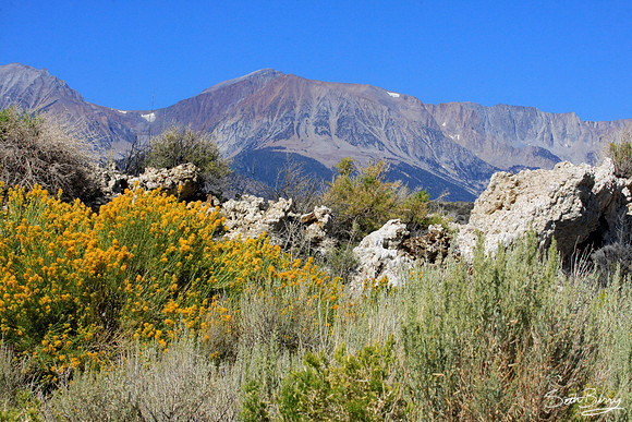 High Sierra Tufas