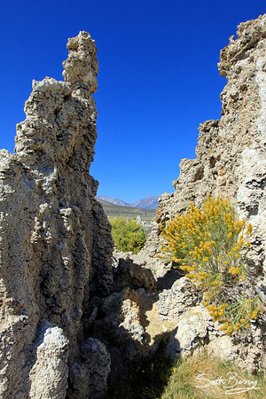Mono Lake Tufa