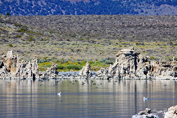 Mono Lake, CA