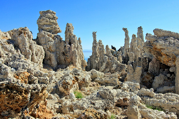 Mono Lake Tufas