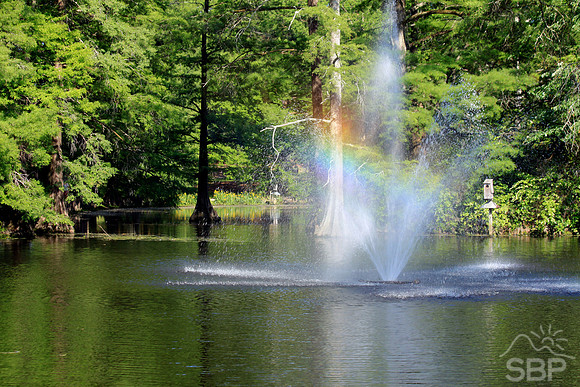 Swan Lake Rainbow