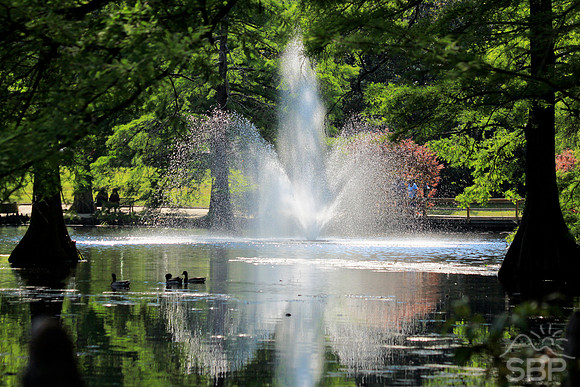 Swan Lake, SC
