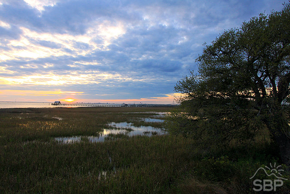 Pitt Street Bridge Sunset