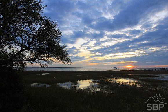 Pitt Street Bridge Sunset