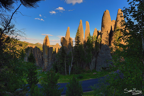 The Needles Highway
