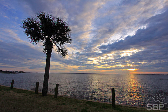 Pitt Street Bridge Sunset