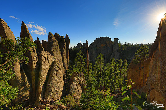The Needles