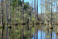 Goodale State Park