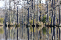Goodale State Park
