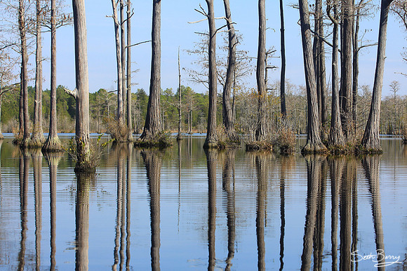 Goodale State Park