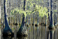 Goodale State Park