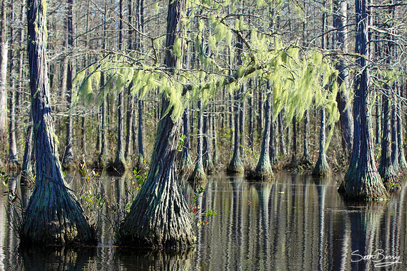 Goodale State Park